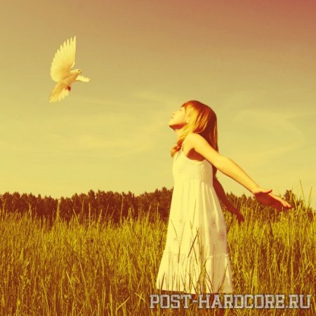 The Skyline - Encounters [EP] (2011)