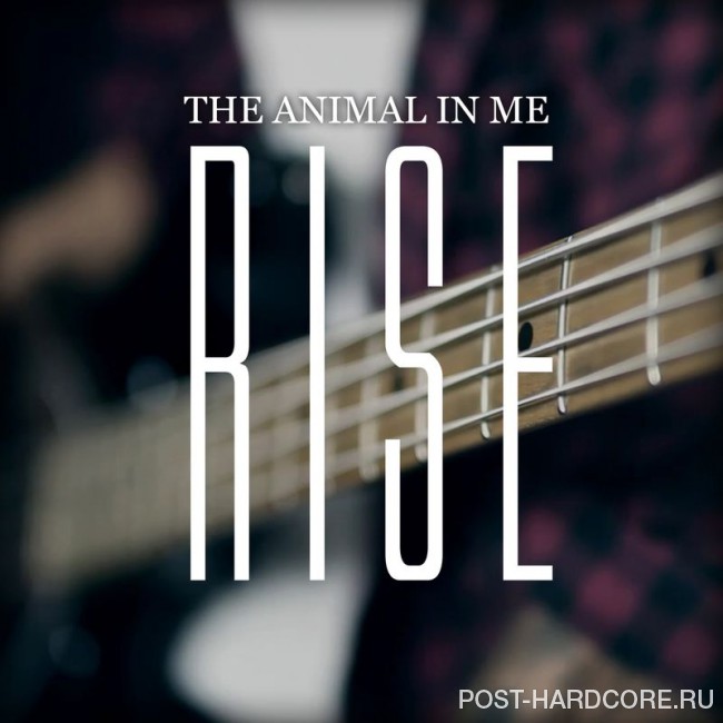 The Animal In Me - Rise [single] (2016)