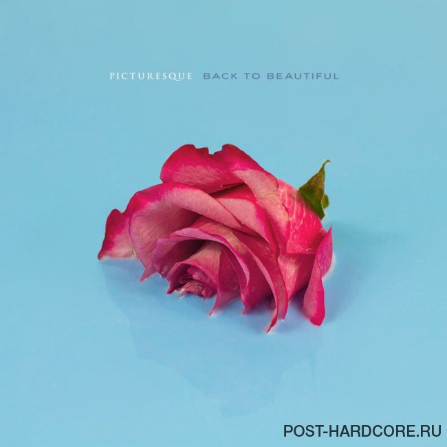 Picturesque - New Face [single] (2017)