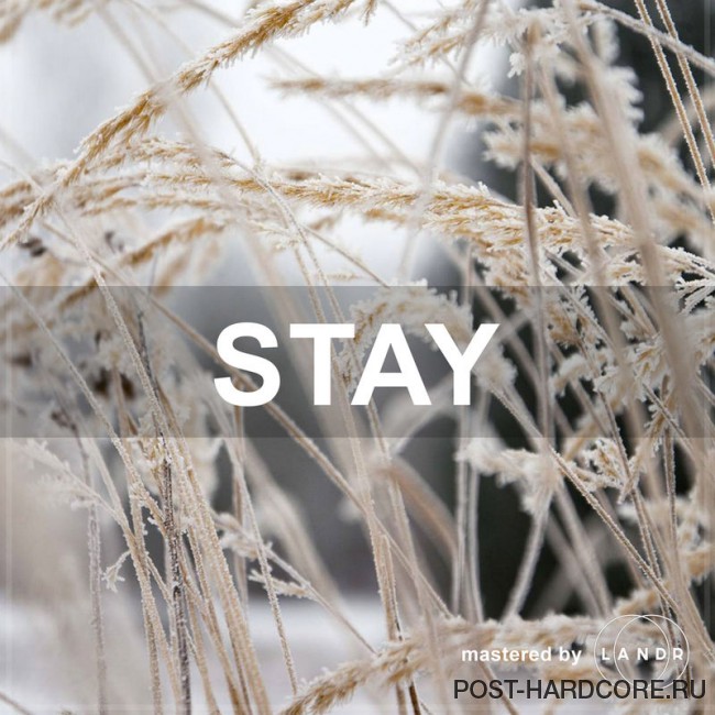 Death Come Cover Me - Stay [single] (2017)