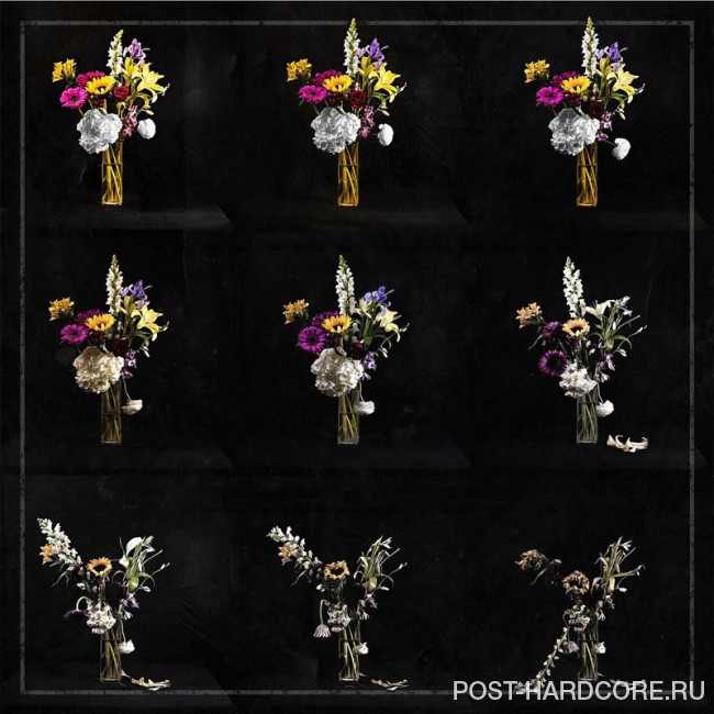 New Fiction - Let It Destroy You (2018)