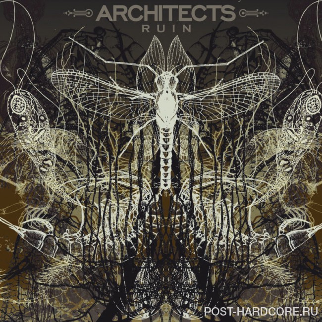 Architects - Ruin (2007)