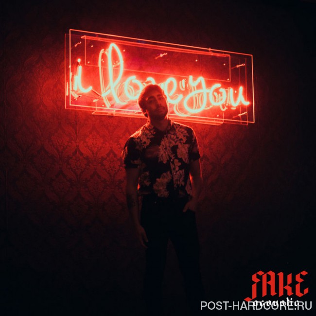 Light Up The Sky - Fake (Acoustic) [single] (2018)