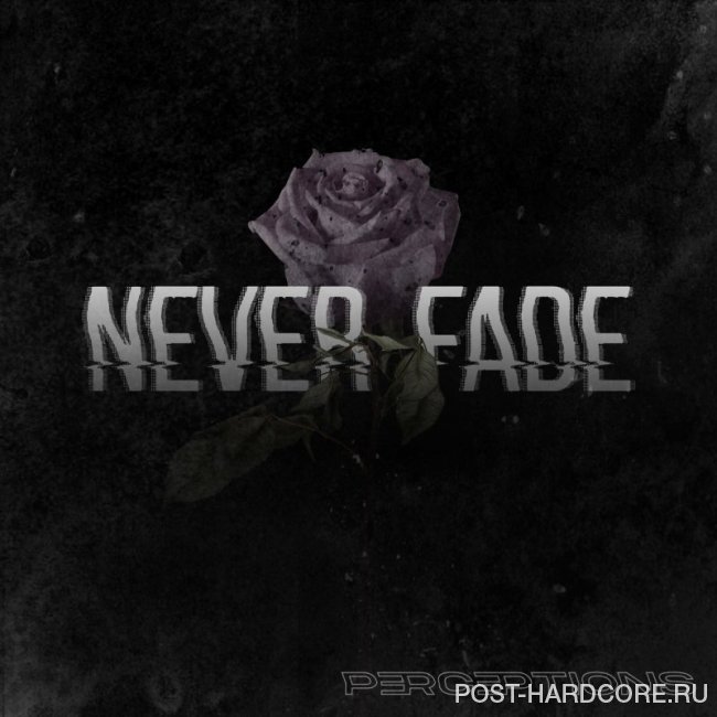 Perceptions - Never Fade [single] (2019)
