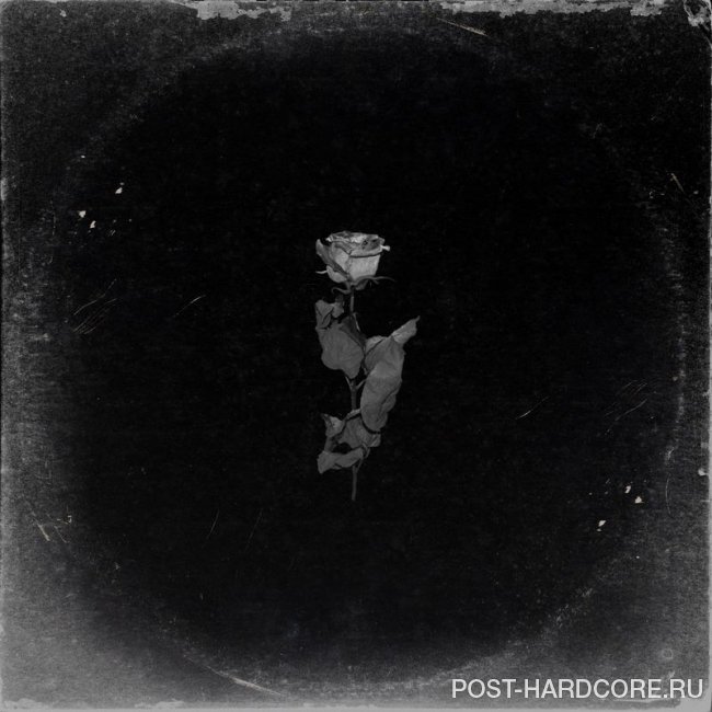 Vagrants - Wither [single] (2020)