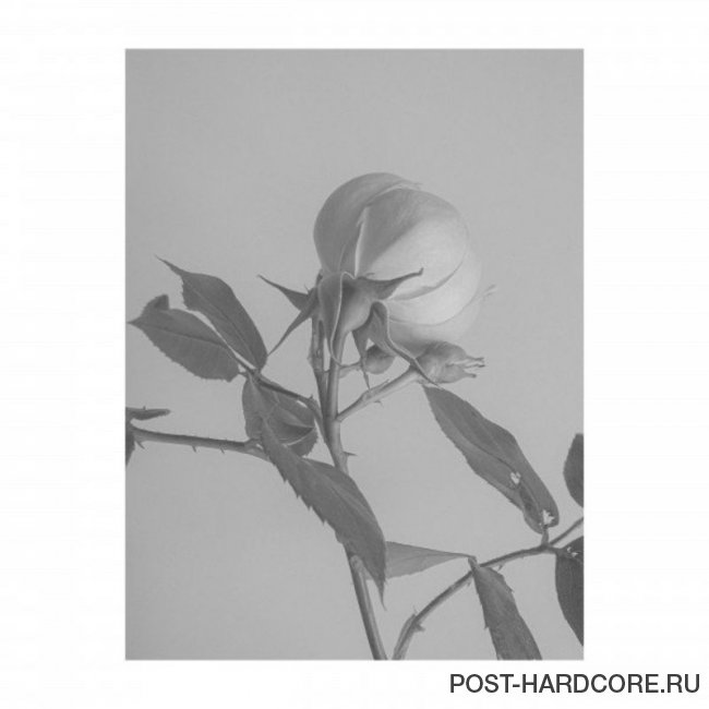 Imminence - Paralyzed (Acoustic) [single] (2020)