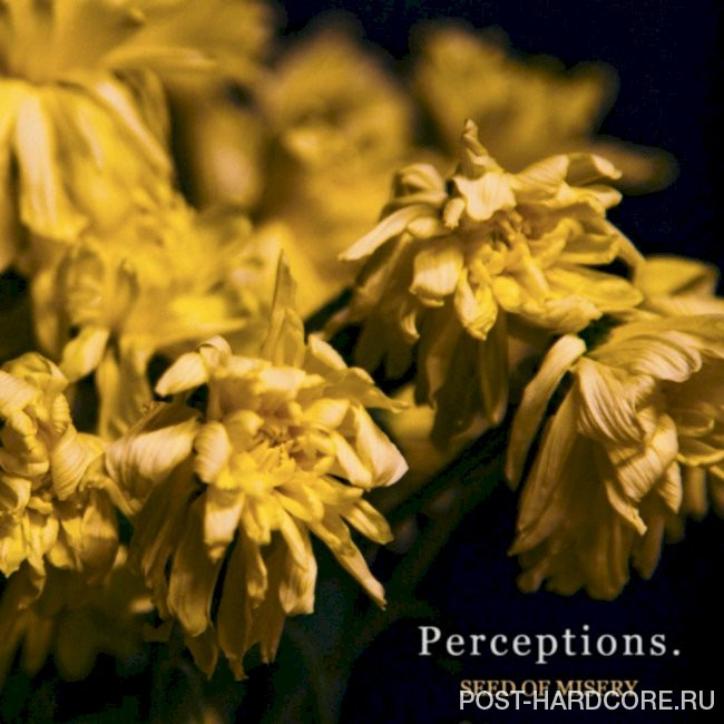 Perceptions - Seed Of Misery [single] (2021)