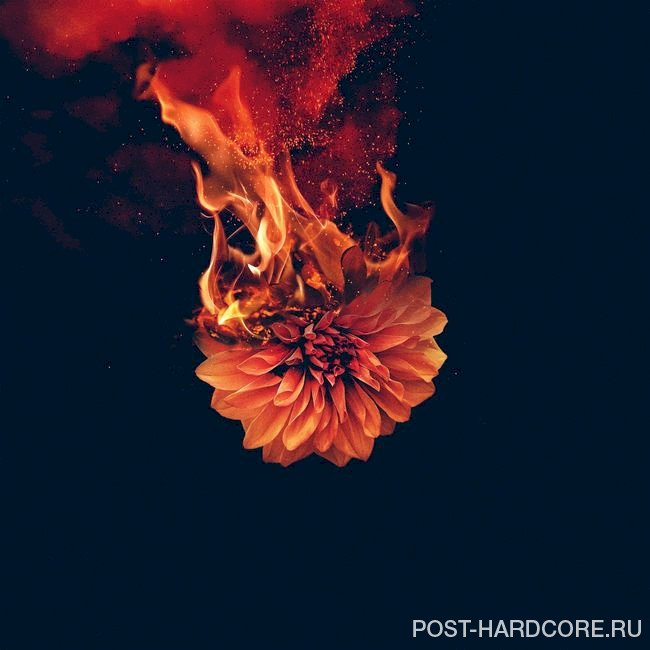 Wolves At The Gate - Shadows [single] (2021)