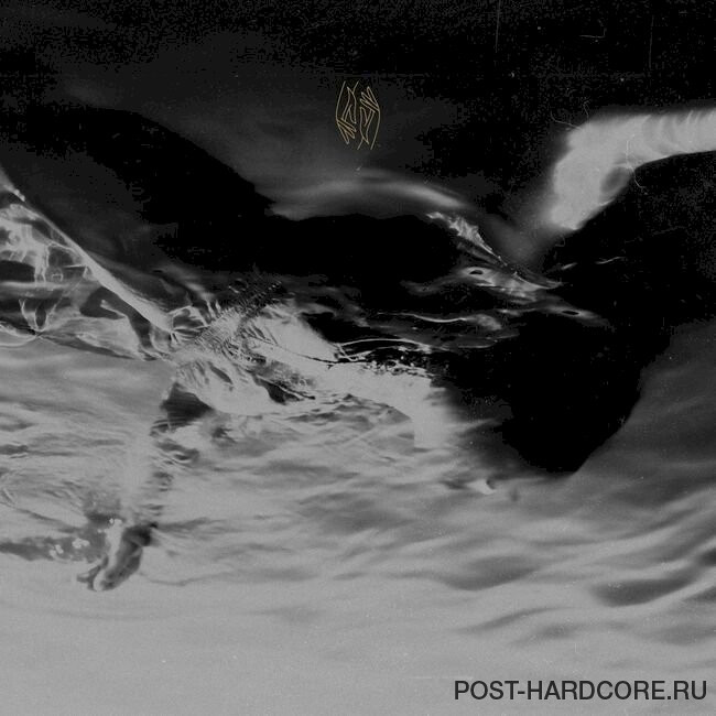 Limbs - Coma Year [single] (2022)