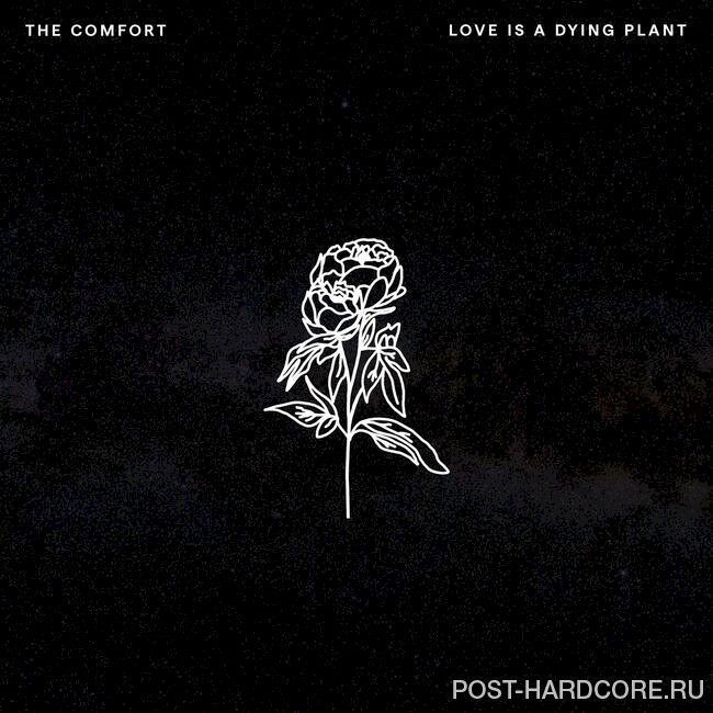 The Comfort - Love Is A Dying Plant [single] (2022)