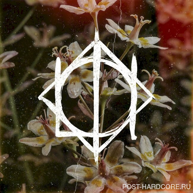 Lion I Am - Let The Weak Sleep [single] (2022)