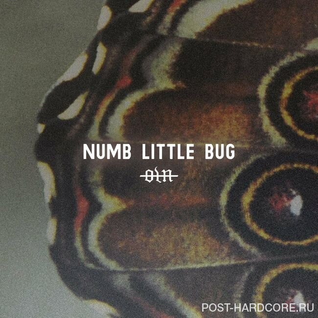 Our Last Night - Numb Little Bug [single] (2022)