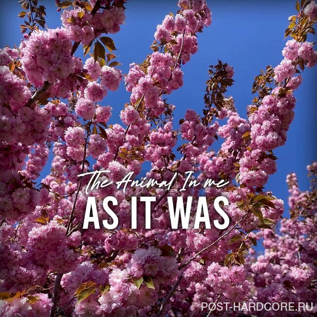 The Animal In Me - As It Was [single] (2022)