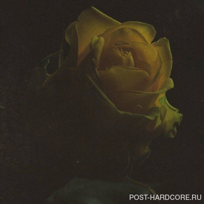 Imminence - Heaven in Hiding (Acoustic) [single] (2022)