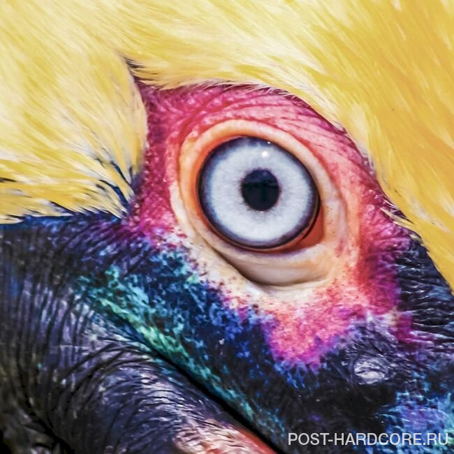 Capstan - Glimpse Of Us [single] (2022)