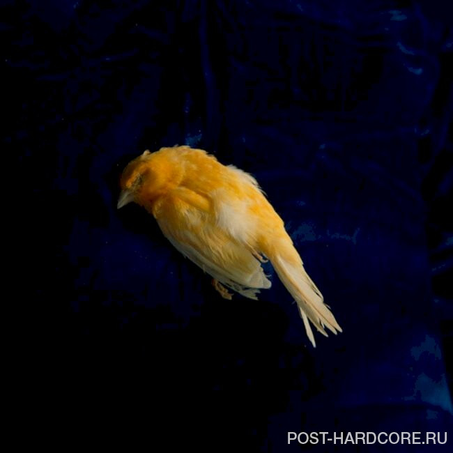 The Plot In You - Left Behind [single] (2023)