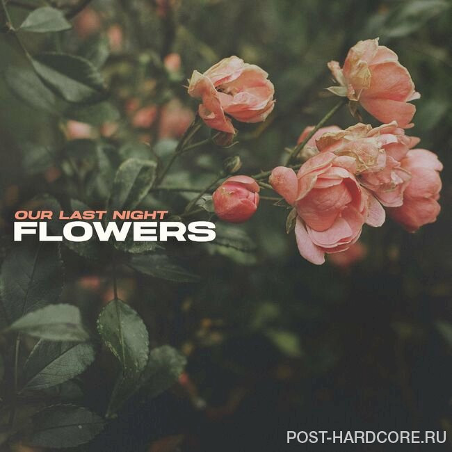 Our Last Night - Flowers [single] (2023)