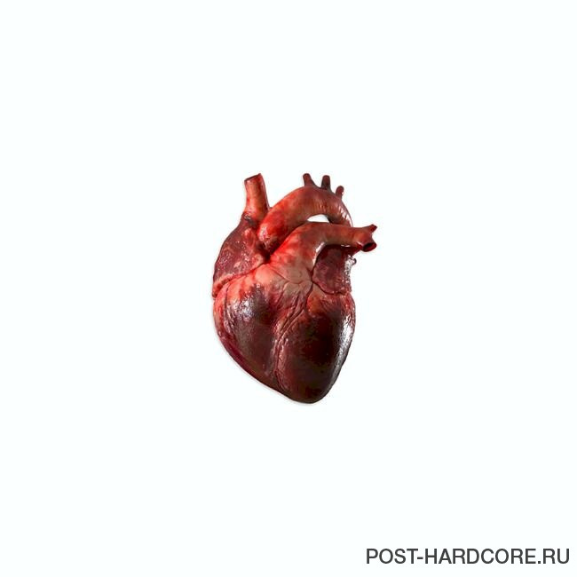 Living in Fiction - What Is Love [single] (2023)