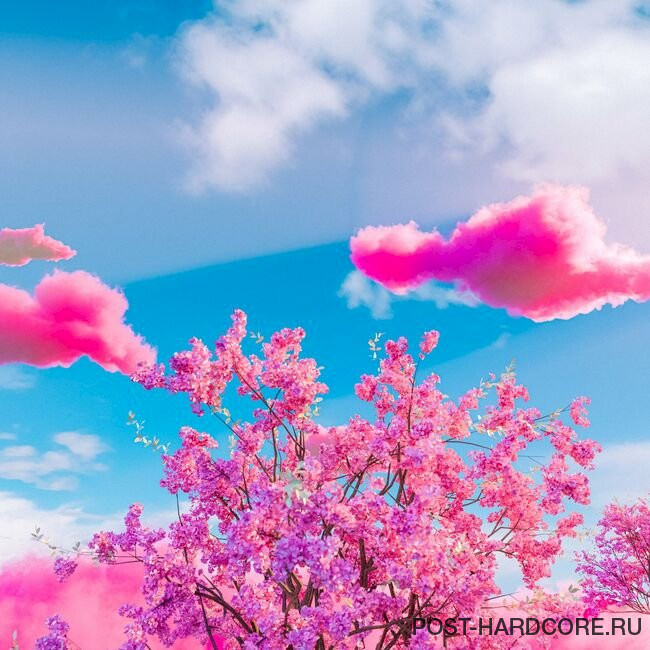 Miss Fortune - Too Cool To Be Cordial [single] (2023)