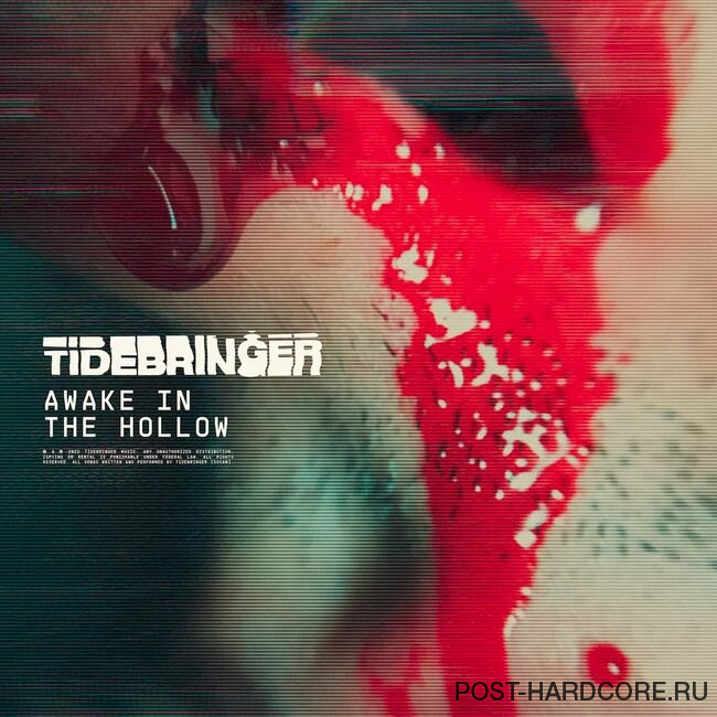 Tidebringer - Awake in the Hollow [single] (2023)