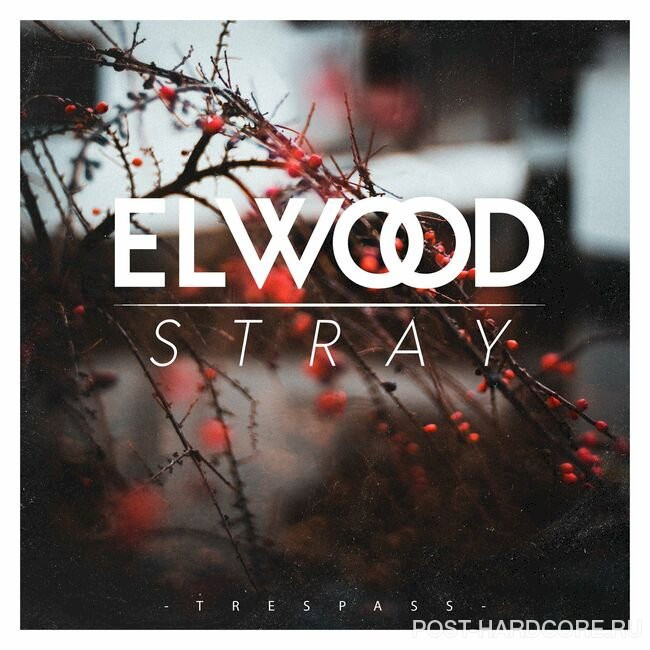 Elwood Stray - Trespass [single] (2019)