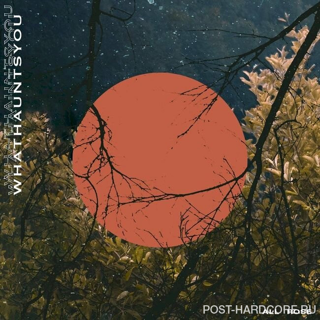 What Haunts You - All Rose [single] (2024)