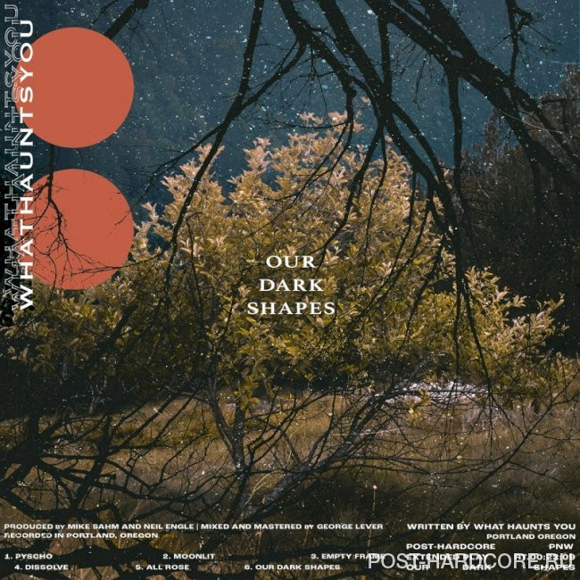 What Haunts You - Our Dark Shapes [EP] (2024)