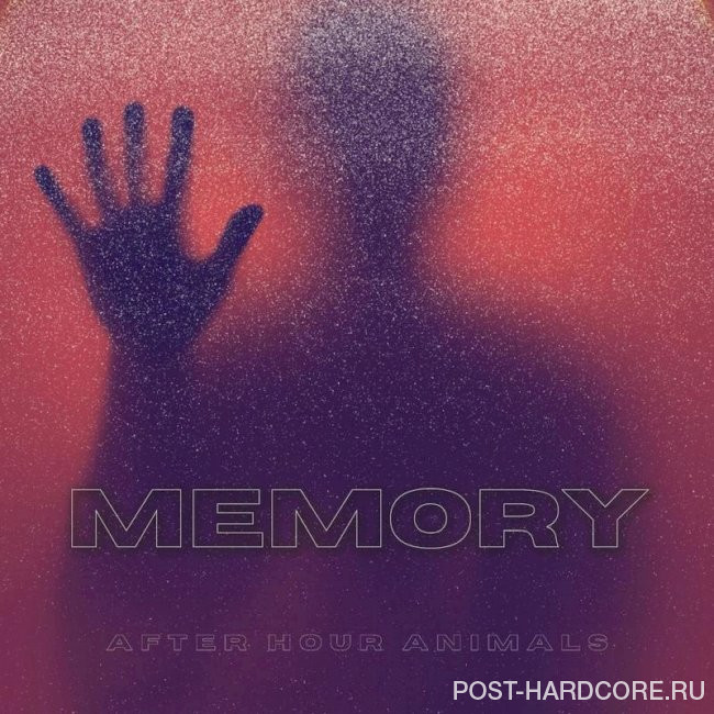 After Hour Animals - Memory [single] (2024)