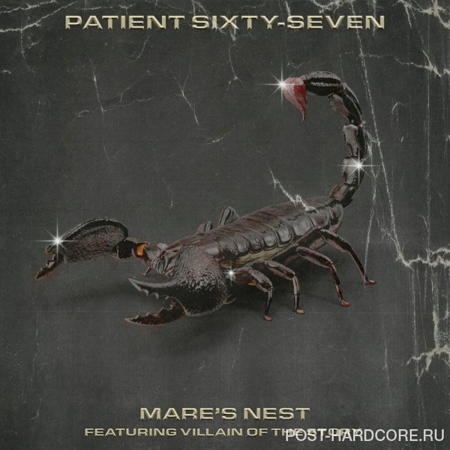 Patient Sixty-Seven - Mare's Nest [single] (2024)