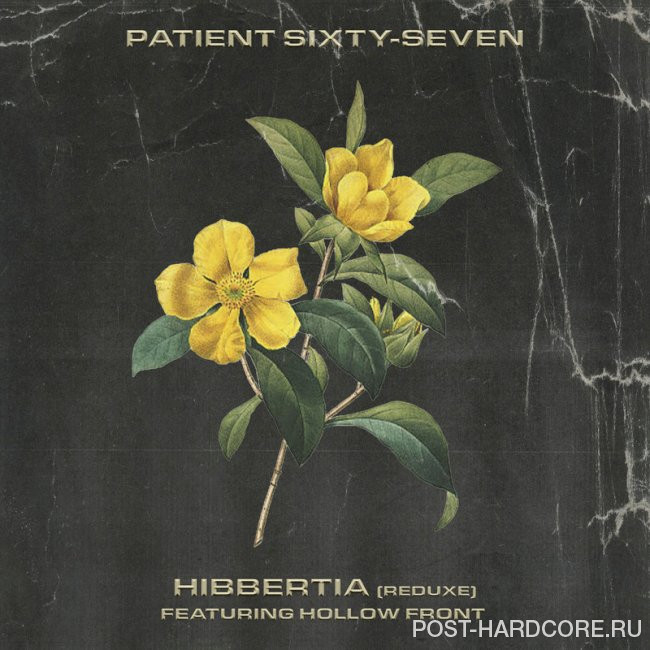 Patient Sixty-Seven - Hibbertia (Reduxe) [single] (2024)