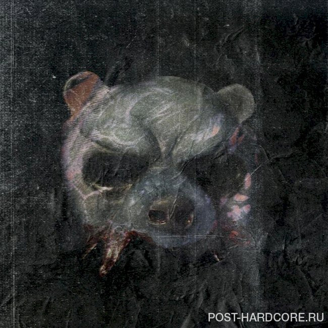 The Bunny The Bear - Sink [single] (2024)