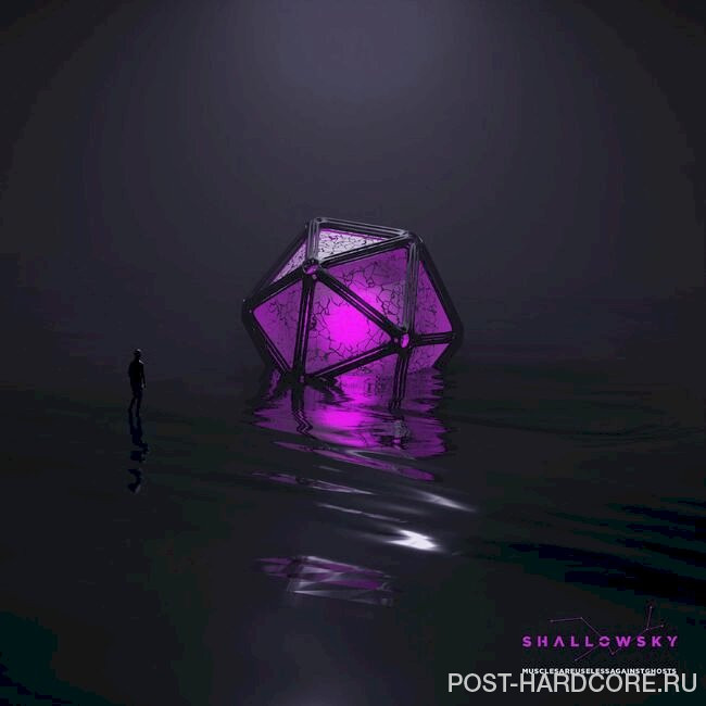 Shallowsky - MUSCLESAREUSELESSAGAINSTGHOSTS [single] (2022)