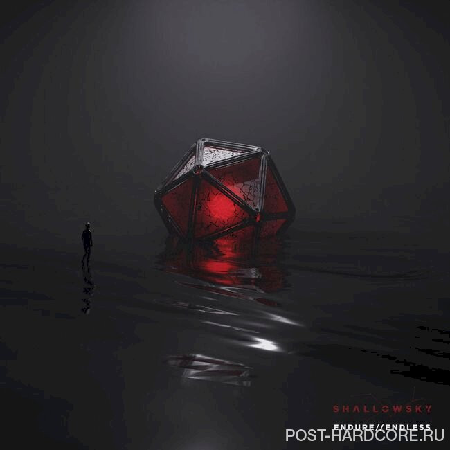 Shallowsky - endure//endless [single] (2022)