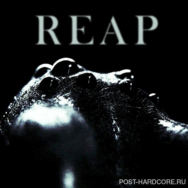 Shallowsky - Reap [single] (2023)
