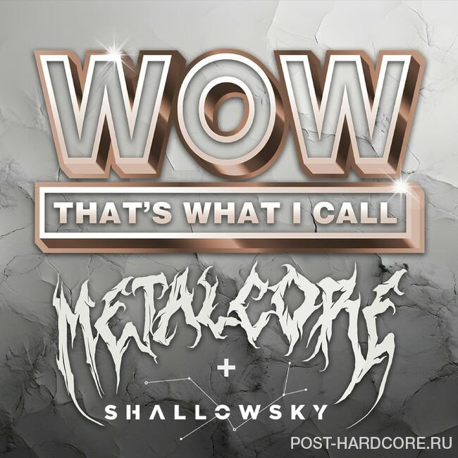 Shallowsky - Lose Control [single] (2024)