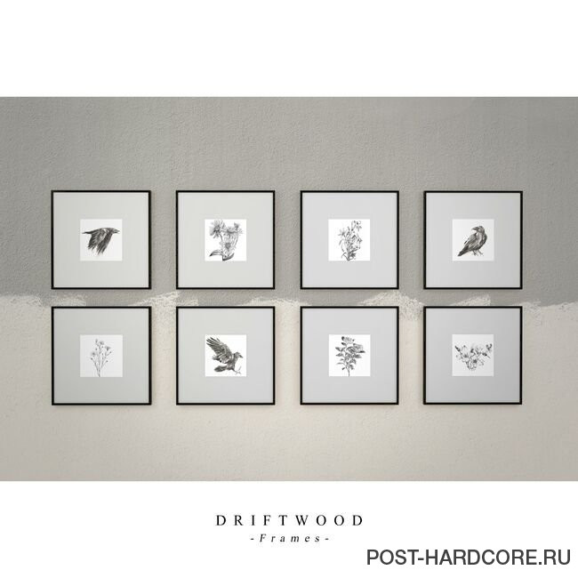 Driftwood - Frames [EP] (2019)
