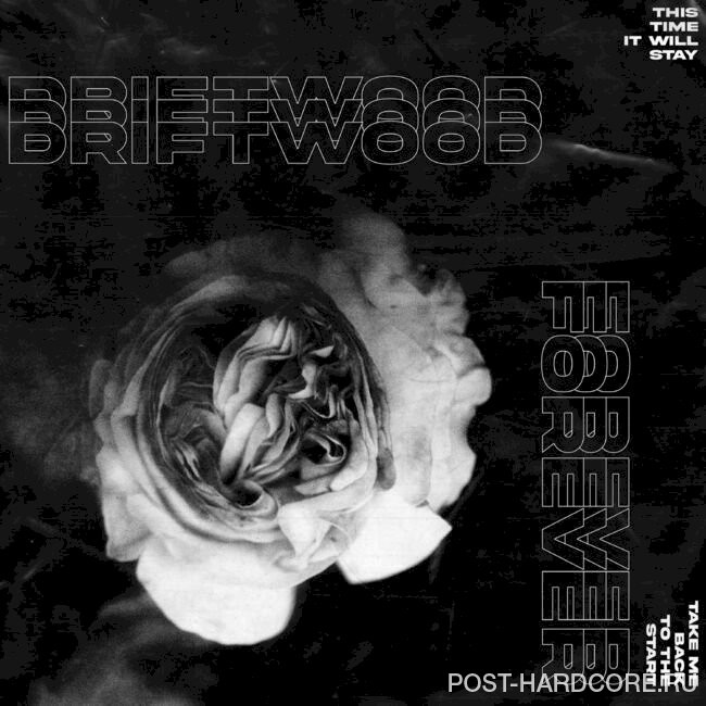 Driftwood - Forever [single] (2020)