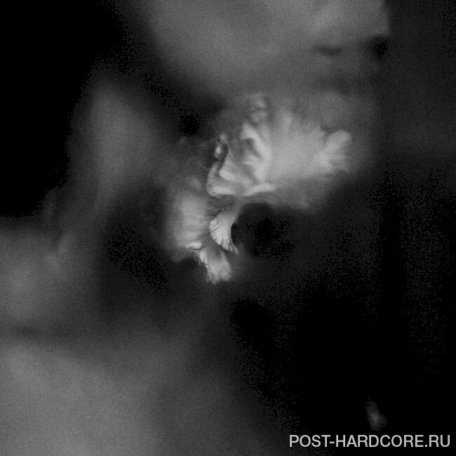 Holding Absence - Holding Absence (2019)