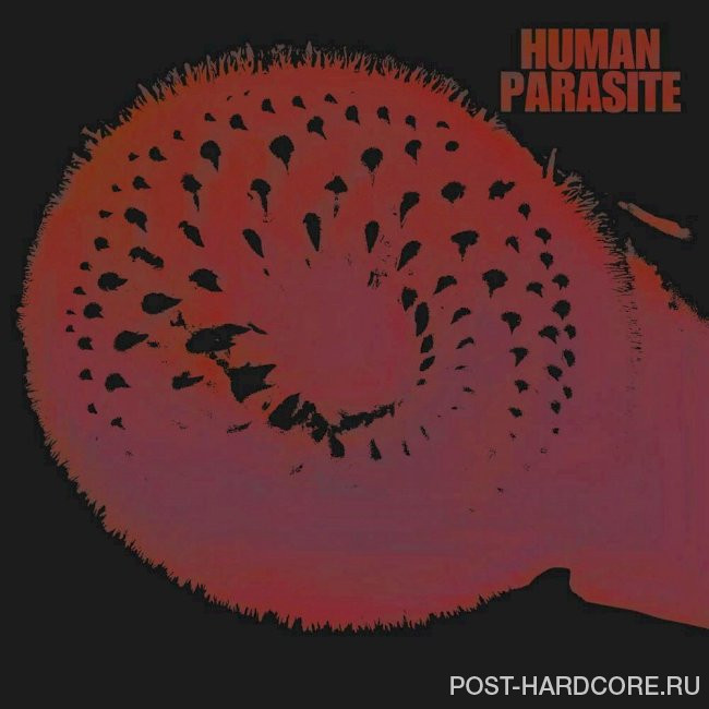 After Hour Animals - Human Parasite [single] (2025)
