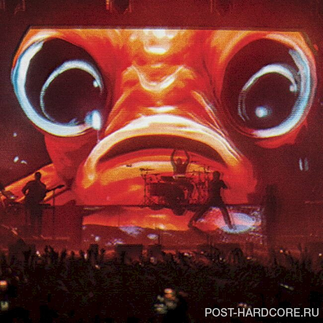 Enter Shikari - Sssnakepit (Live at Wembley) [single] (2025)