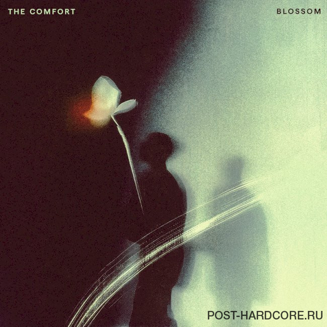 The Comfort - Blossom [single] (2025)