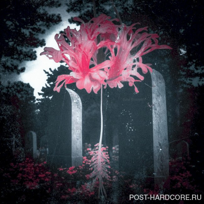 After Hour Animals - Total Disconnect [EP] (2025)