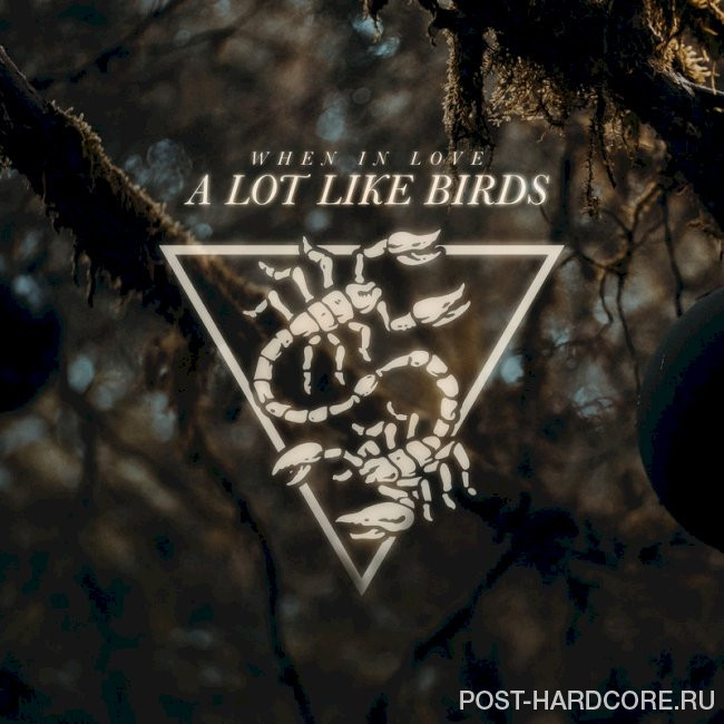 A Lot Like Birds - When in Love [single] (2025)